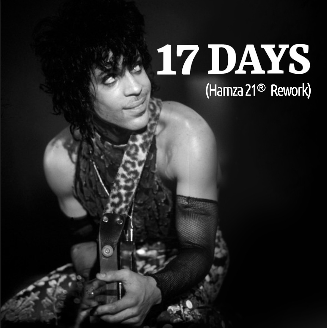 Prince – 17 Days (Hamza 21 ReWork)